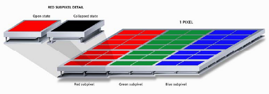 Mirasol_2_color.png